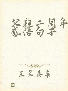 父亲二周年祭日感悟句子