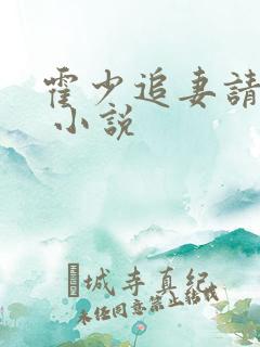 霍少追妻请低调 小说