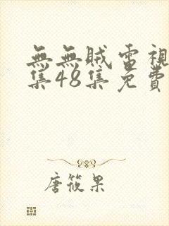 无无贼电视剧全集48集免费播放