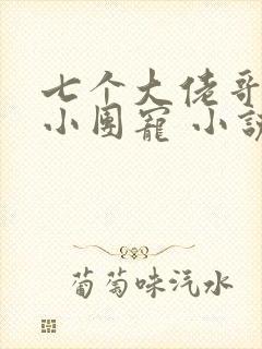 七个大佬哥哥的小团宠 小说