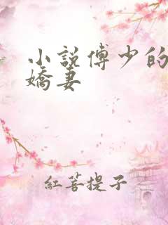小说傅少的秘宠娇妻