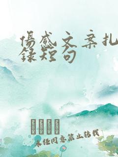 伤感文案扎心语录短句