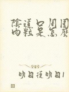 阴道口周围长小肉粒是怎么回事