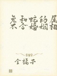 兔和蛇的属相合不合婚姻相配