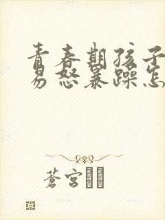 青春期孩子脾气易怒暴躁怎么办