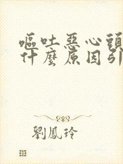 呕吐恶心头晕是什么原因引起的