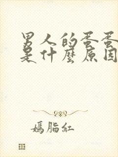 男人的蛋蛋肿疼是什么原因?