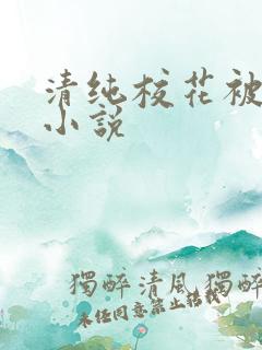 清纯校花被玩弄小说