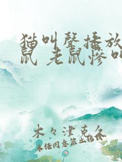 猫叫声播放吓老鼠 老鼠惨叫