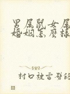 男属鼠女属羊的婚姻怎么样