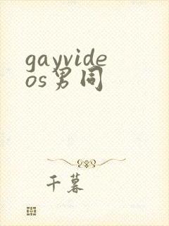 gayvideos男同