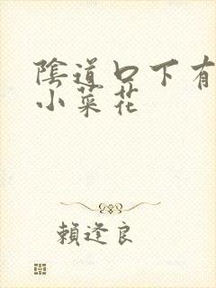 阴道口下有很多小菜花