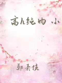 高h纯肉 小说