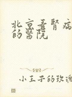 北京看肾病权威的医院