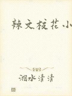 辣文校花小说