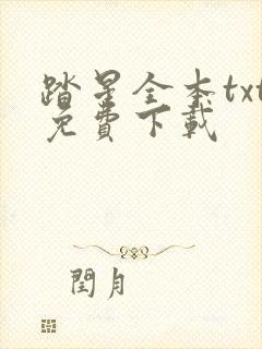 踏星全本txt免费下载