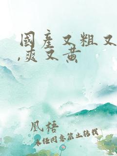 国产又粗又猛又,爽又黄