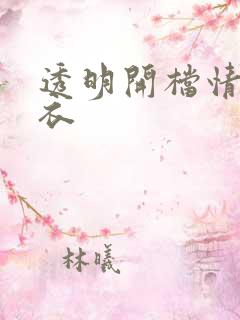 透明开档情趣内衣