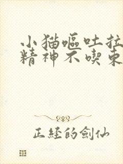 小猫呕吐拉稀没精神不吃东西