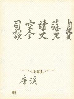 司空靖苏月汐小说全文免费阅读