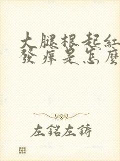 大腿根起红疹子发痒是怎么回事