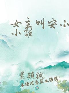 女主叫安小暖的小说