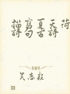 描写夏天荷花的诗句古诗