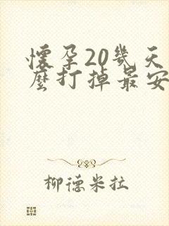 怀孕20几天怎么打掉最安全