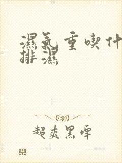 湿气重吃什么能排湿