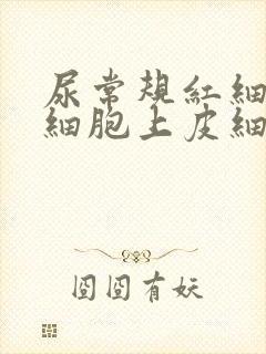 尿常规红细胞白细胞上皮细胞都高