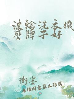 波轮洗衣机选什么牌子好