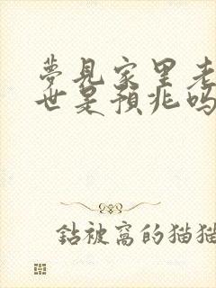 梦见家里老人去世是预兆吗