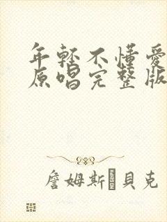 年轻不懂爱dj原唱完整版