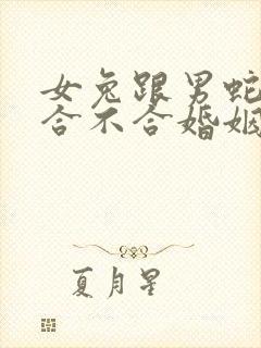 女兔跟男蛇属相合不合婚姻