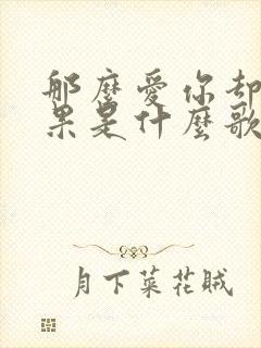 那么爱你却没结果是什么歌