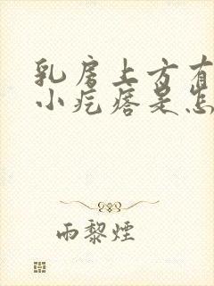 乳房上方有一个小疙瘩是怎么回事