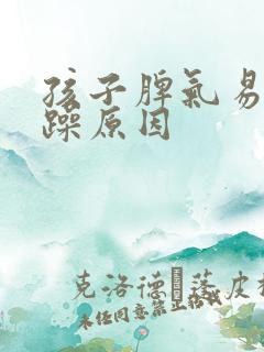 孩子脾气易怒暴躁原因