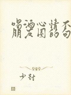 喝酒心情不好发朋友圈的句子