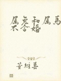 属兔和属马的合不合婚