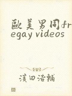 欧美男同freegay videos