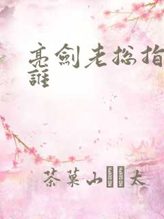 亮剑老总指的是谁