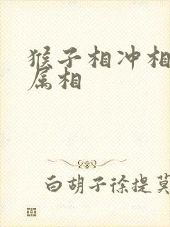 猴子相冲相克的属相