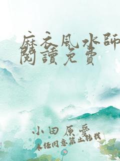 麻衣风水师全文阅读免费