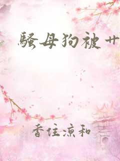 骚母狗被艹