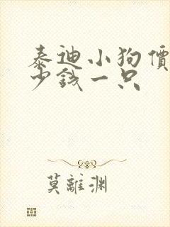 泰迪小狗价格多少钱一只