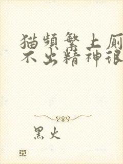 猫频繁上厕所尿不出精神很好