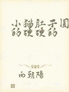 小猫肚子圆鼓鼓的硬硬的