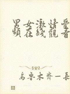 男女激情爱爱视频在线观看