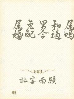 属兔男和属蛇女婚配合适吗