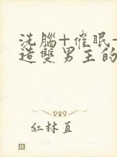 洗脑+催眠+改造双男主的小说